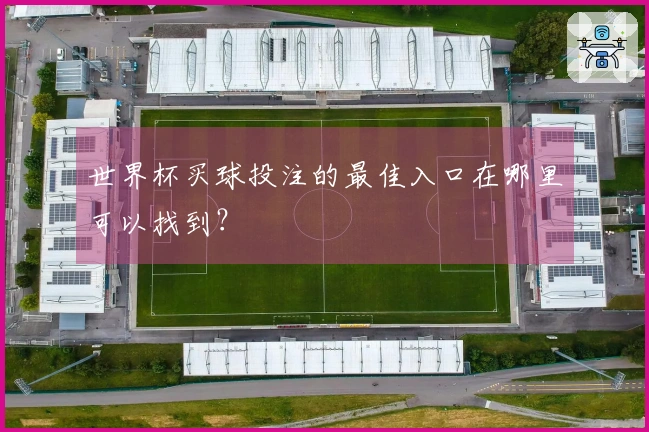 世界杯买球投注的最佳入口在哪里可以找到？