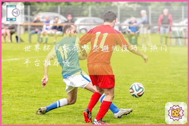 世界杯买球有哪些避坑技巧与热门平台推荐吗