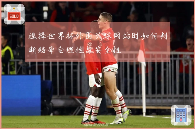 选择世界杯外围买球网站时如何判断赔率合理性与安全性