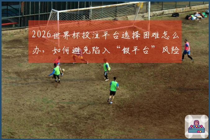 2026世界杯投注平台选择困难怎么办，如何避免陷入“假平台”风险