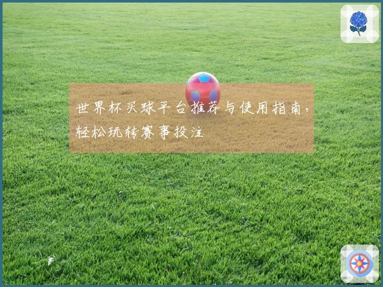 世界杯买球平台推荐与使用指南，轻松玩转赛事投注