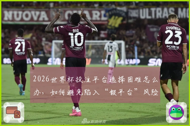 2026世界杯投注平台选择困难怎么办，如何避免陷入“假平台”风险