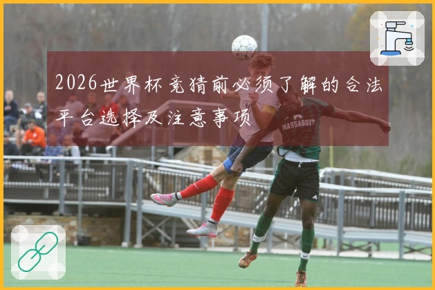 2026世界杯竞猜前必须了解的合法平台选择及注意事项