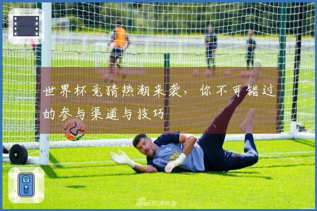 世界杯竞猜热潮来袭，你不可错过的参与渠道与技巧