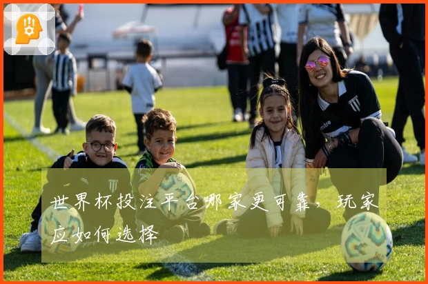 世界杯投注平台哪家更可靠，玩家应如何选择