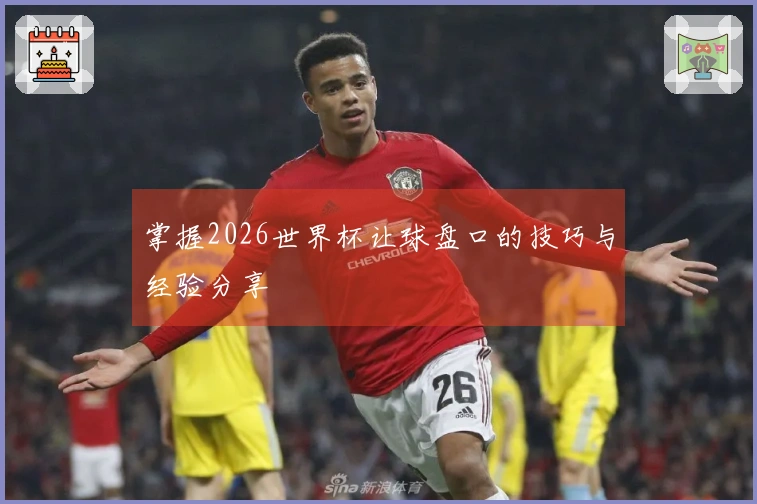 掌握2026世界杯让球盘口的技巧与经验分享
