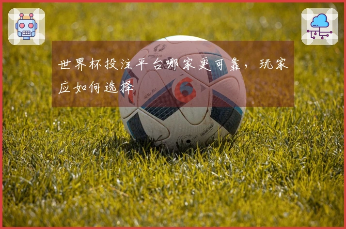 世界杯投注平台哪家更可靠，玩家应如何选择