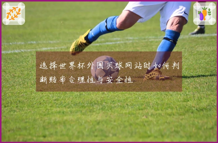 选择世界杯外围买球网站时如何判断赔率合理性与安全性
